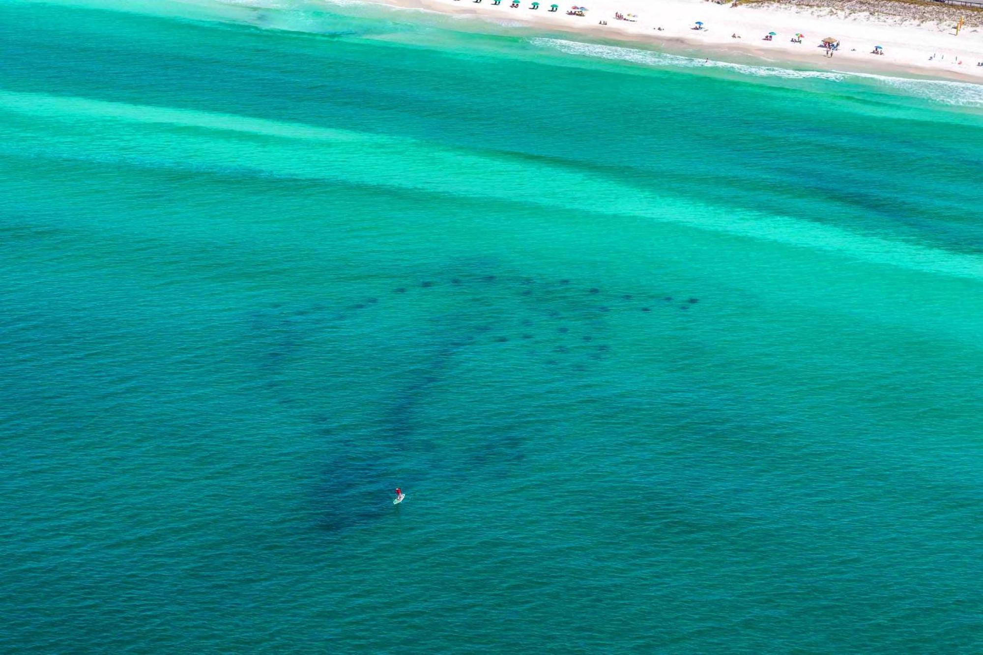 Beach Resort 316 Destin Exteriér fotografie